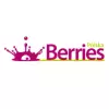 Logo Berries Polska - producent soków ekologicznych